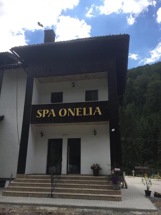 Pension Onelia Gîrda de Sus Zewnętrze zdjęcie
