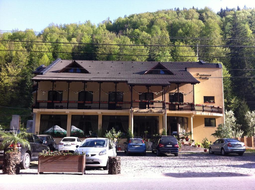 Pension Onelia Gîrda de Sus Zewnętrze zdjęcie