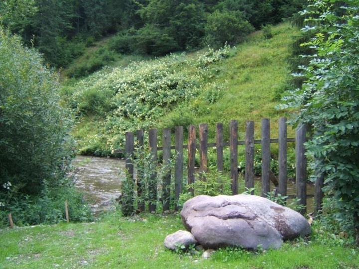 Pension Onelia Gîrda de Sus Zewnętrze zdjęcie